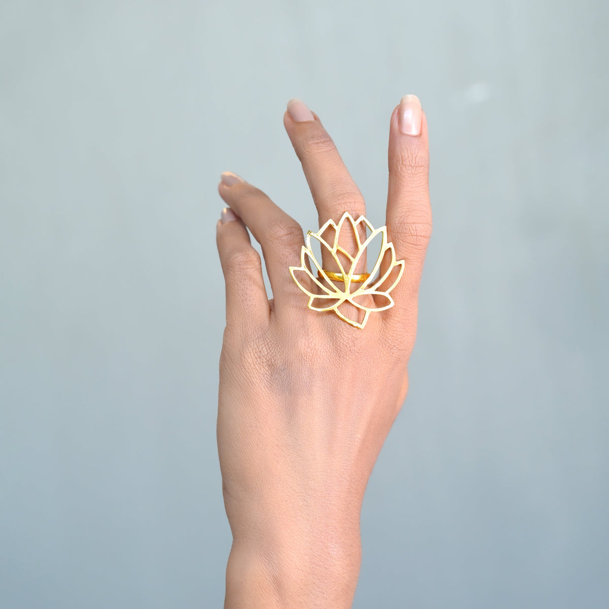 Ring Collection