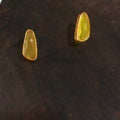 EGG0121 image 0