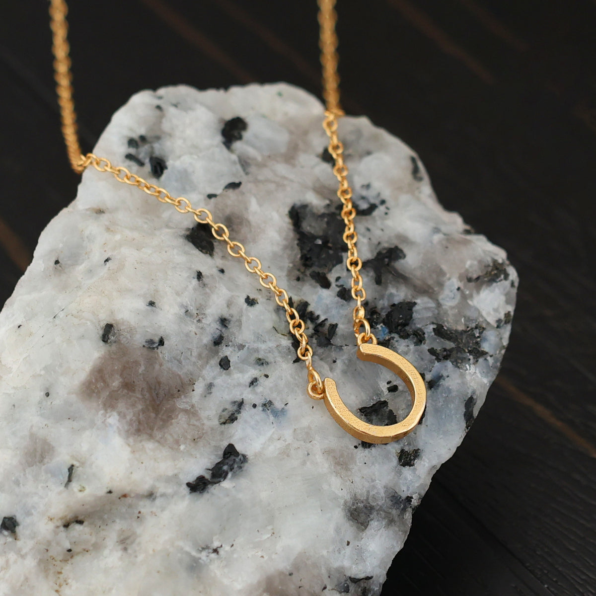 HORCE FOOT NECKLACE